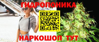 2c-b Аргун