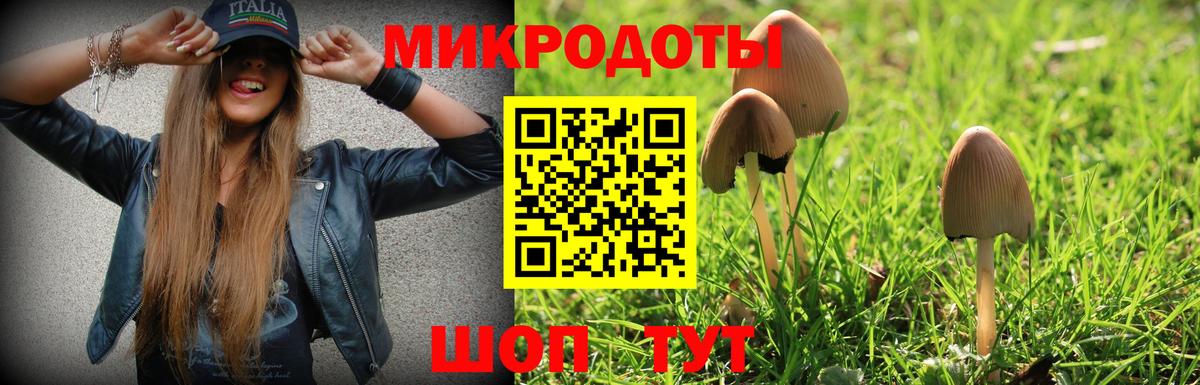 Псилоцибиновые грибы MAGIC MUSHROOMS  Вход с VPN  Барнаул 
